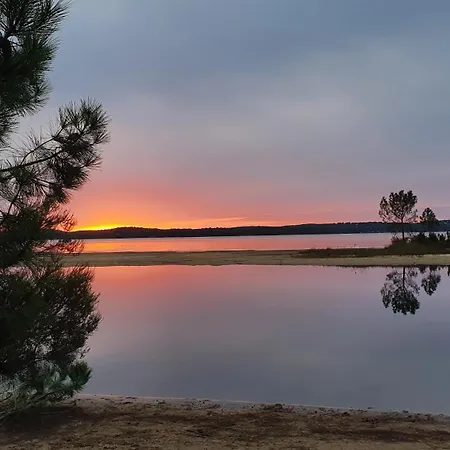 Feriehus Au Bord Du Et Sous Les Pins Lacanau