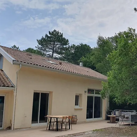Au Bord Du Et Sous Les Pins Feriehus