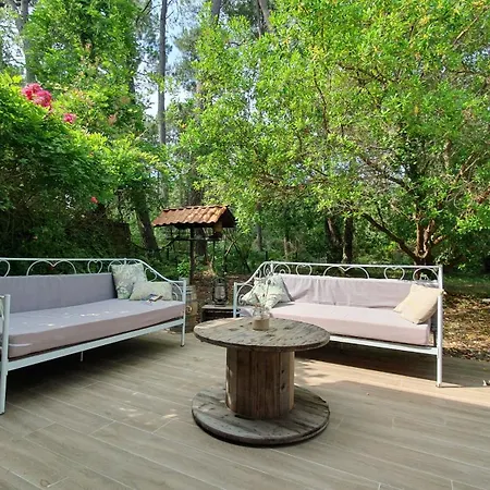 Au Bord Du Et Sous Les Pins Feriehus