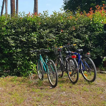 Holiday home Au Bord Du Et Sous Les Pins *