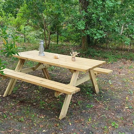 Au Bord Du Et Sous Les Pins *