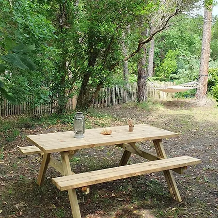 Au Bord Du Et Sous Les Pins Holiday home *