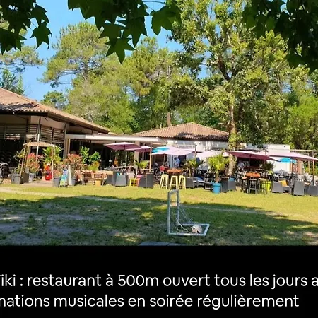 Au Bord Du Et Sous Les Pins *