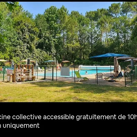 Au Bord Du Et Sous Les Pins Lacanau