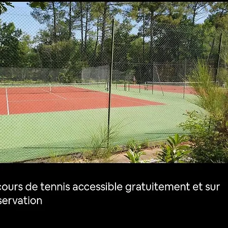 Au Bord Du Et Sous Les Pins Feriehus