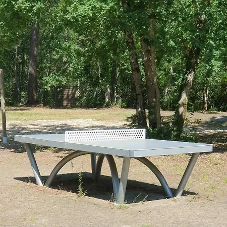 Au Bord Du Et Sous Les Pins *