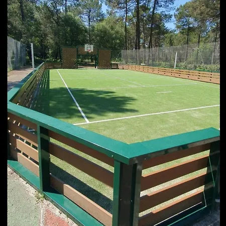 Au Bord Du Et Sous Les Pins Lacanau